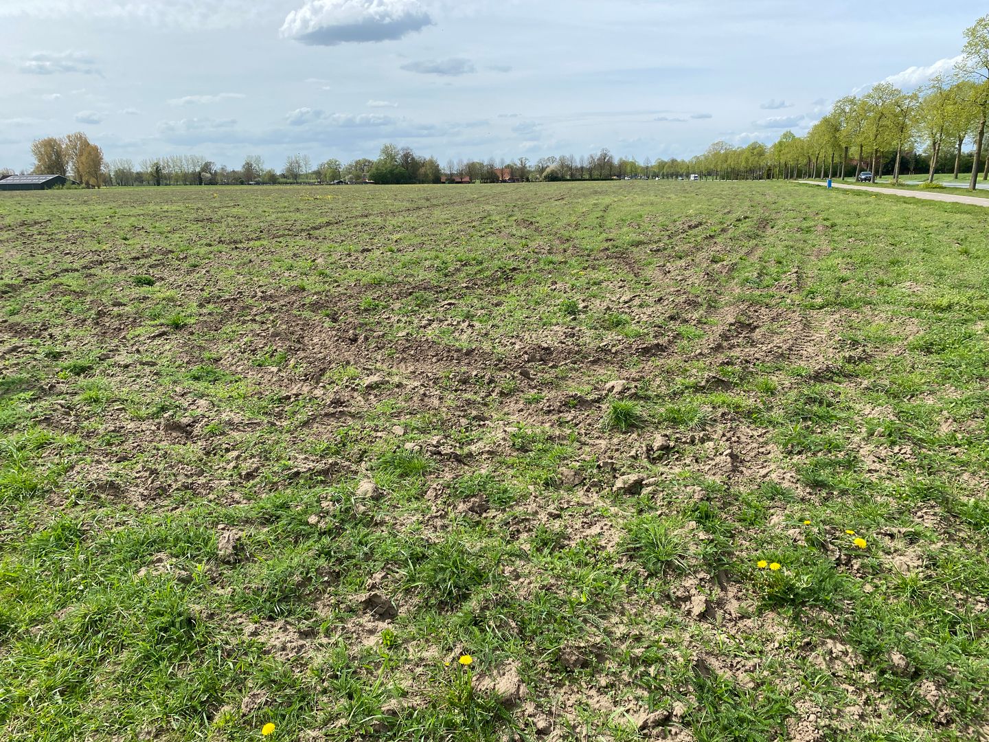 Hoek Hummeloseweg / Eeltinkweg - Zelhem - Afbeelding 5