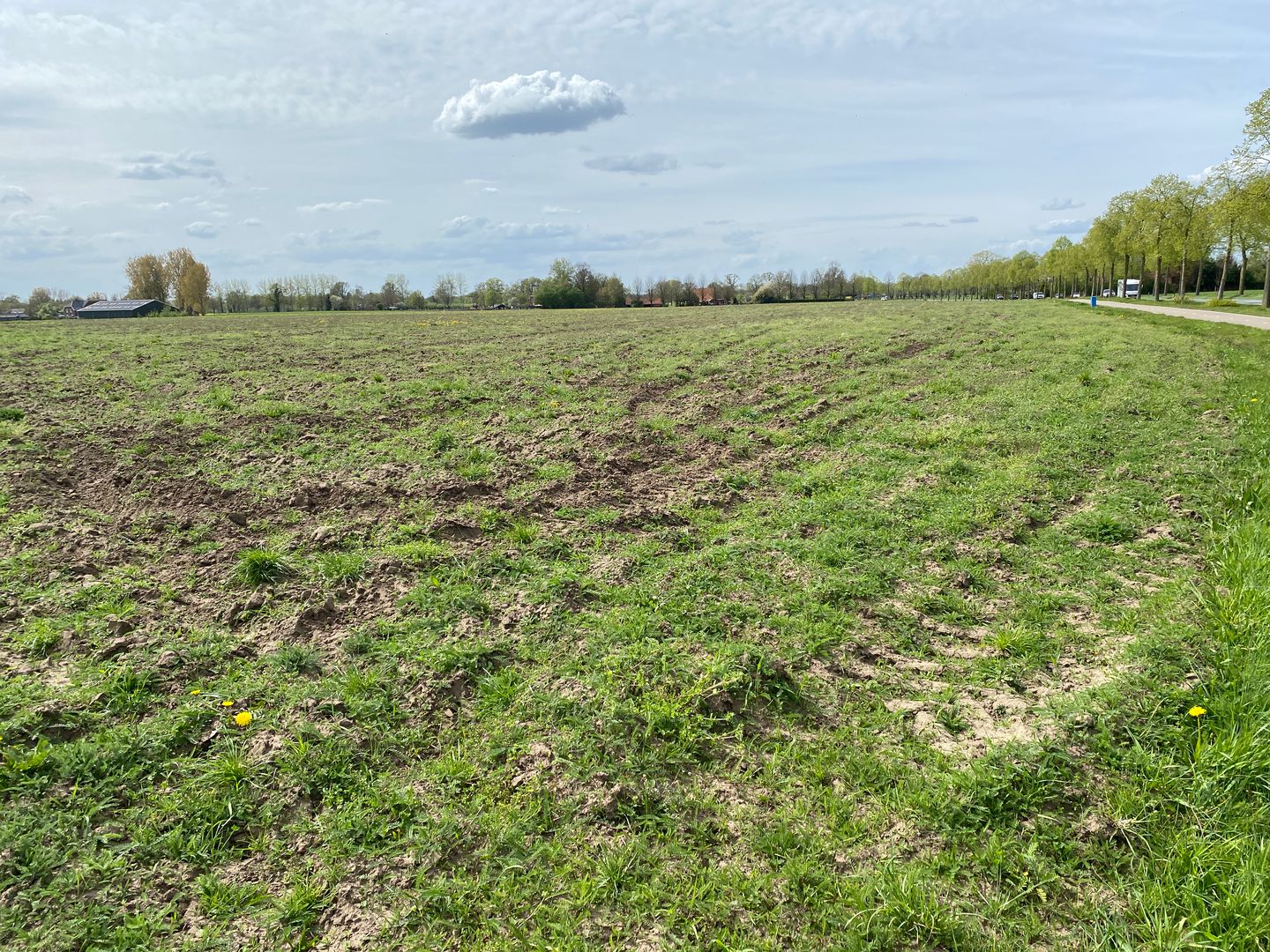 Hoek Hummeloseweg / Eeltinkweg - Zelhem - Afbeelding 1