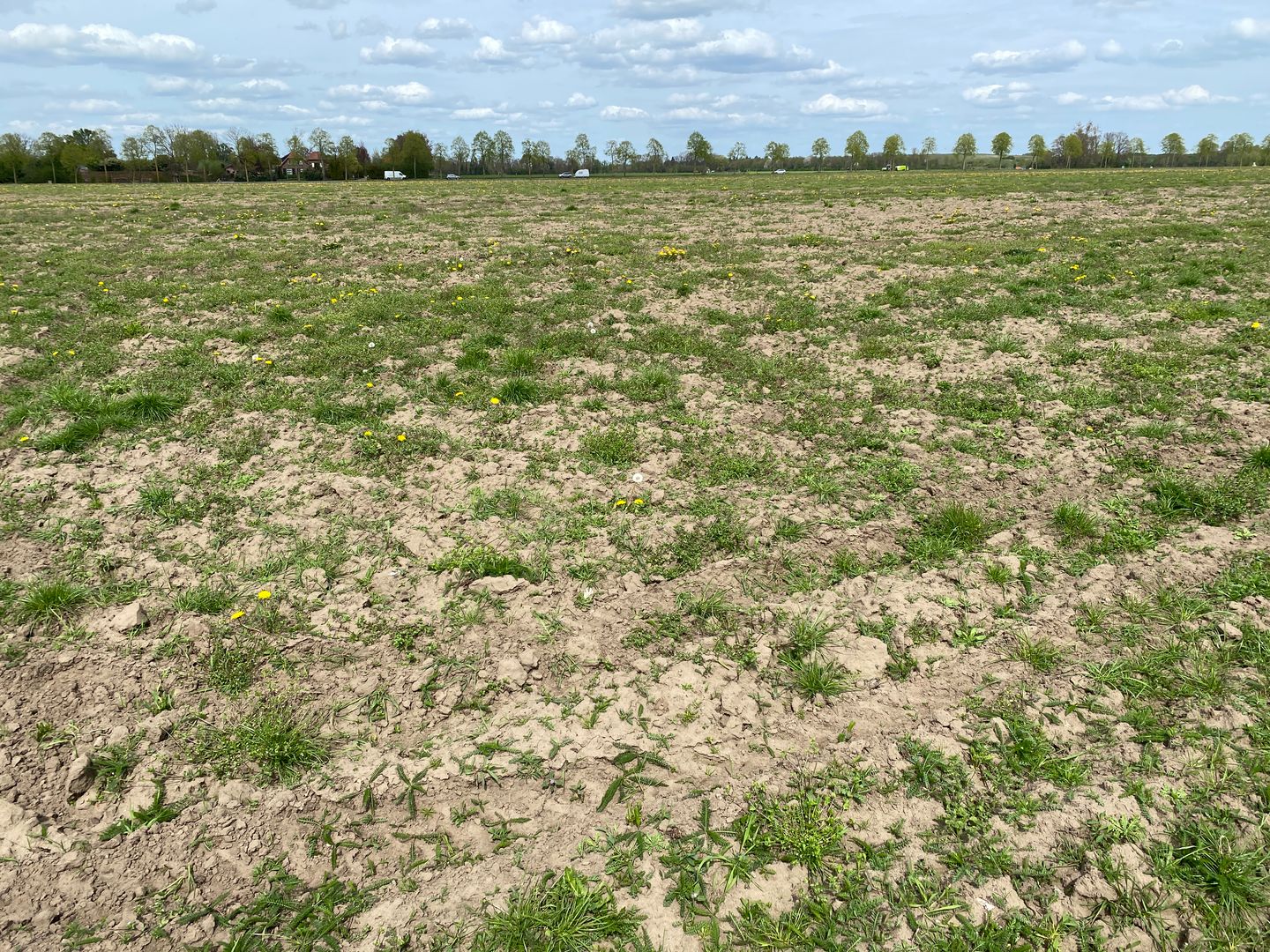 Hoek Hummeloseweg / Eeltinkweg - Zelhem - Afbeelding 4