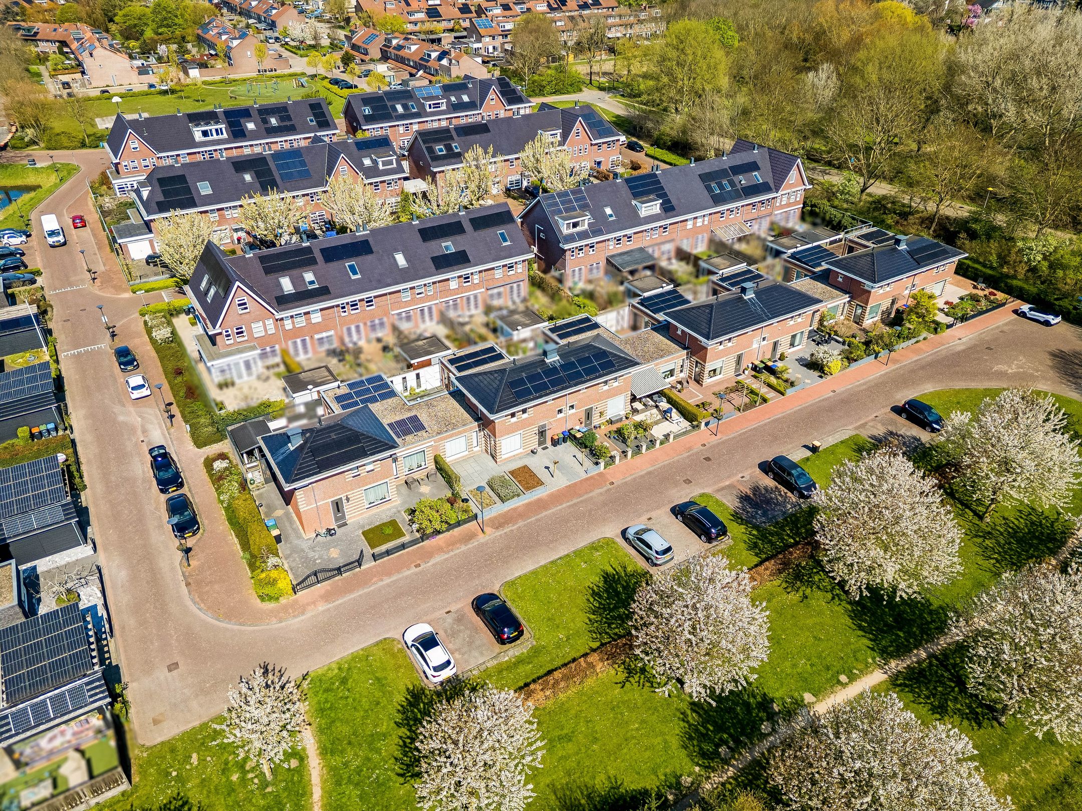 Photo 3 of Galjoen 11 63