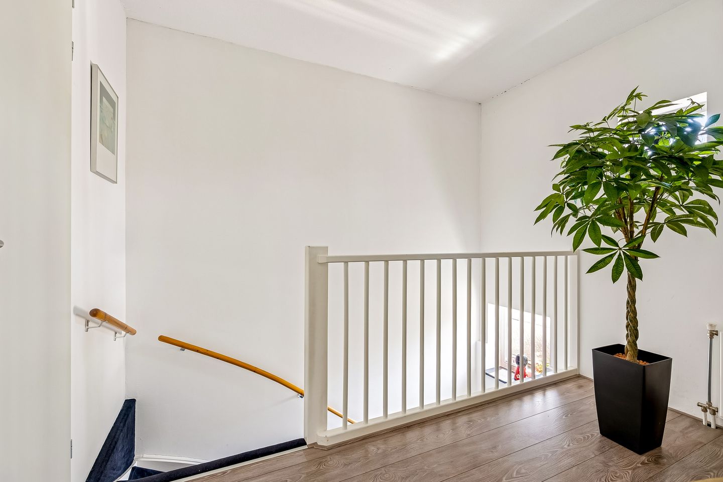 Photo 25 of Galjoen 11 63