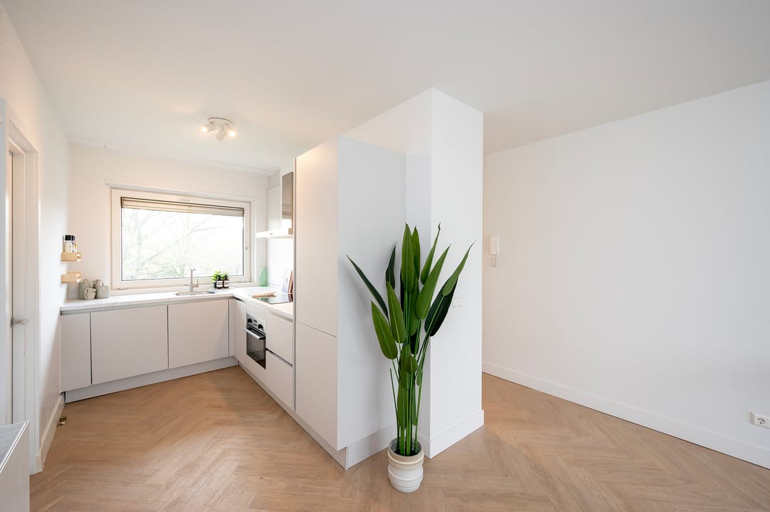 Foto 11 van Camera Obscuralaan 364