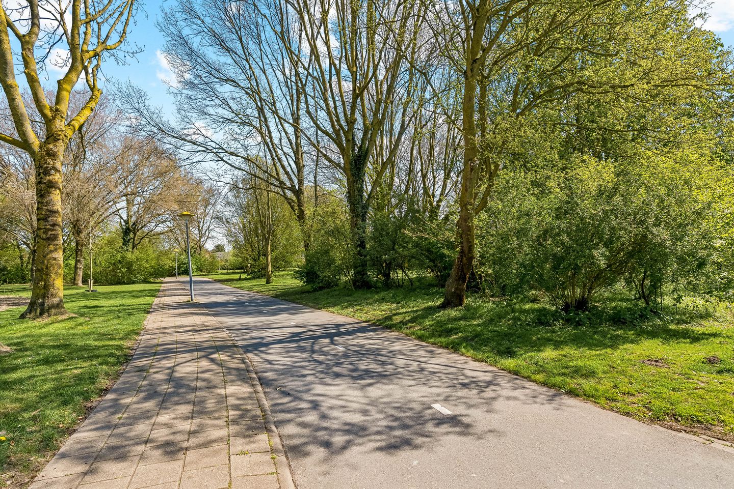 Photo 44 of Galjoen 11 63