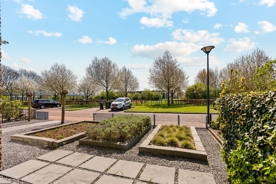 Photo 38 of Galjoen 11 63