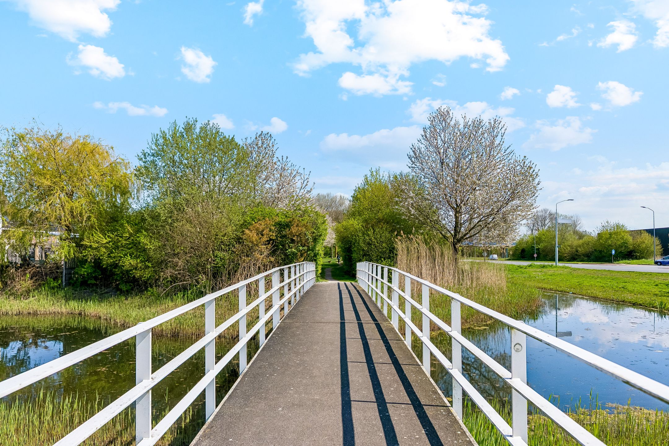 Photo 42 of Galjoen 11 63