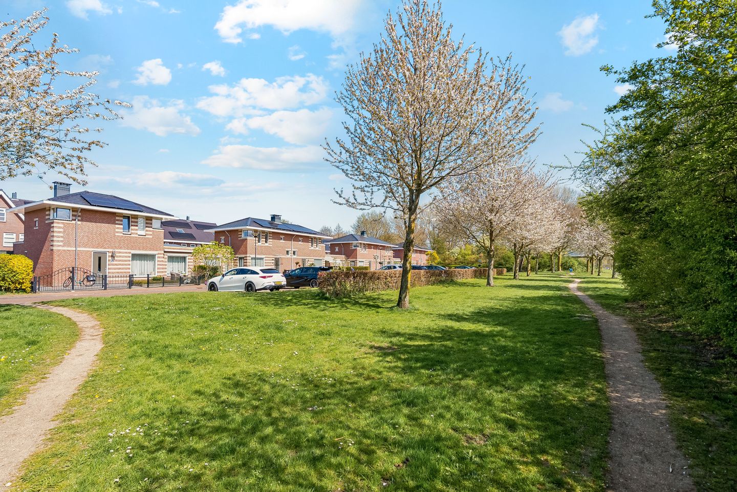 Photo 40 of Galjoen 11 63