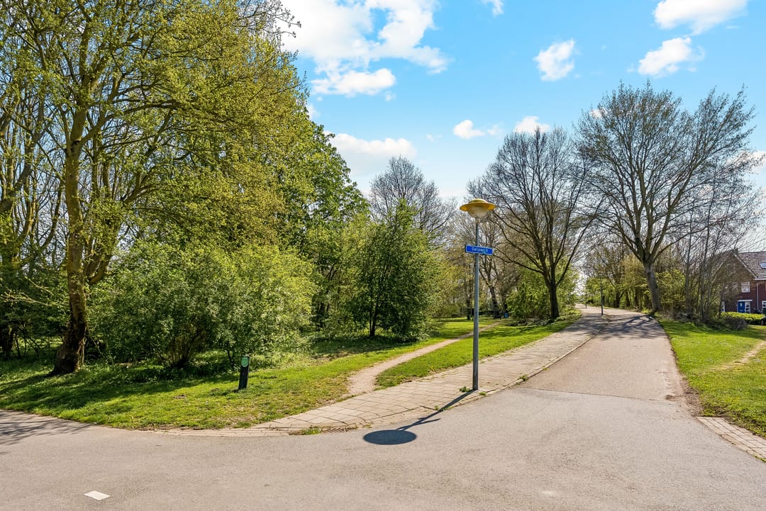 Photo 43 of Galjoen 11 63