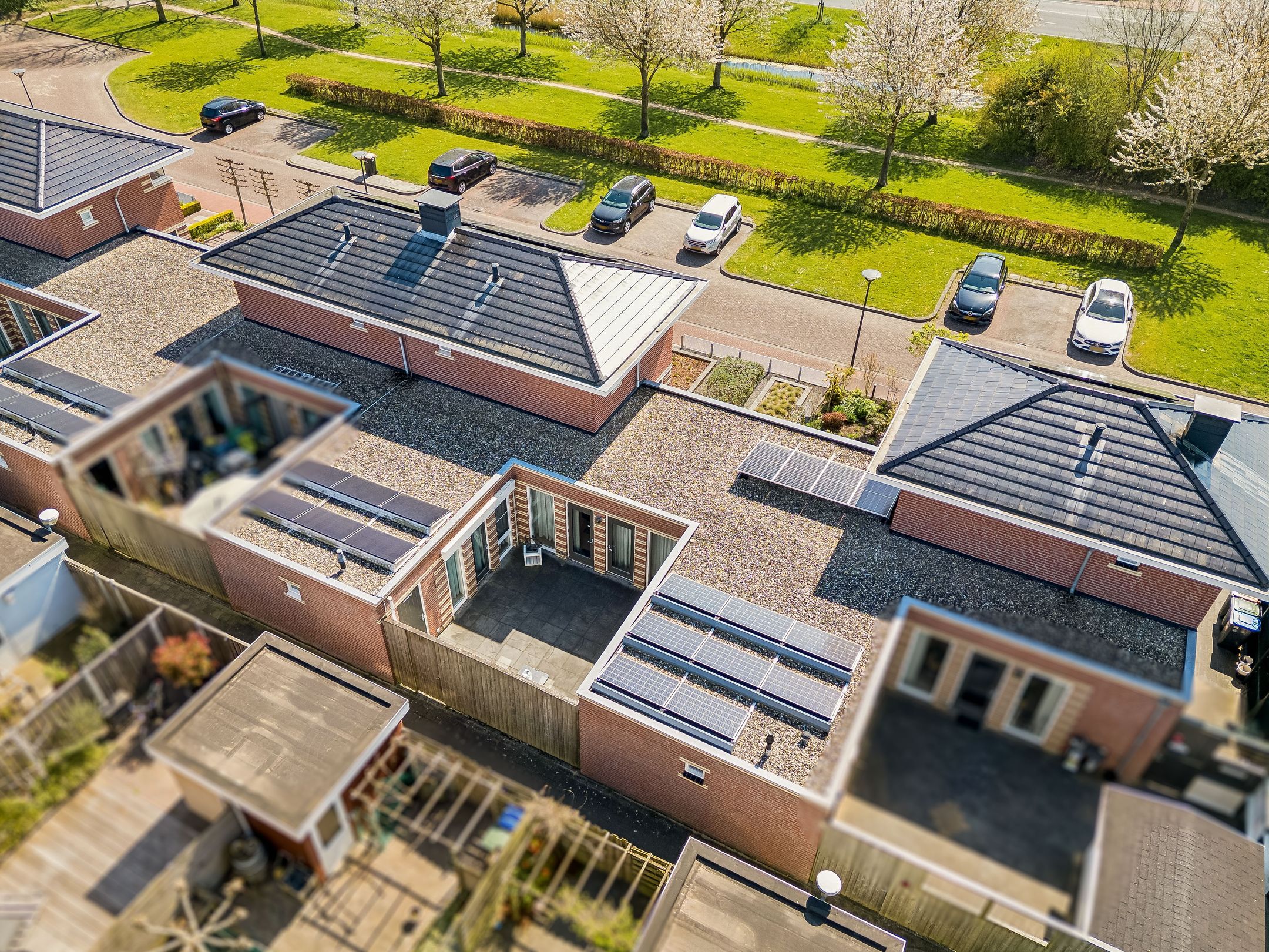 Photo 45 of Galjoen 11 63