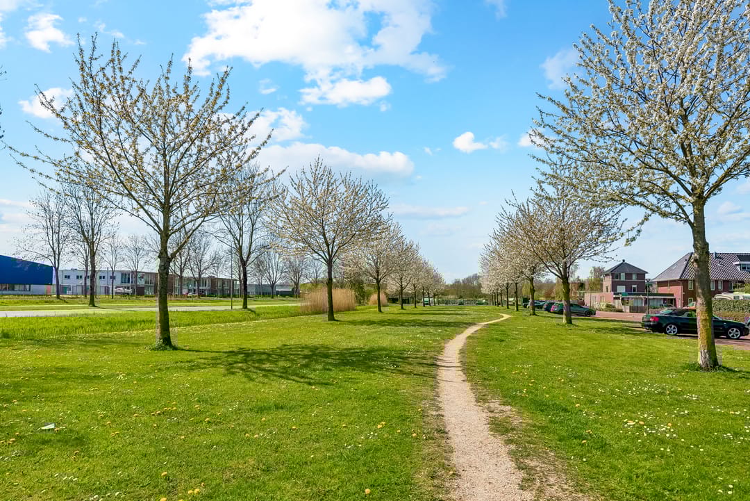 Photo 41 of Galjoen 11 63