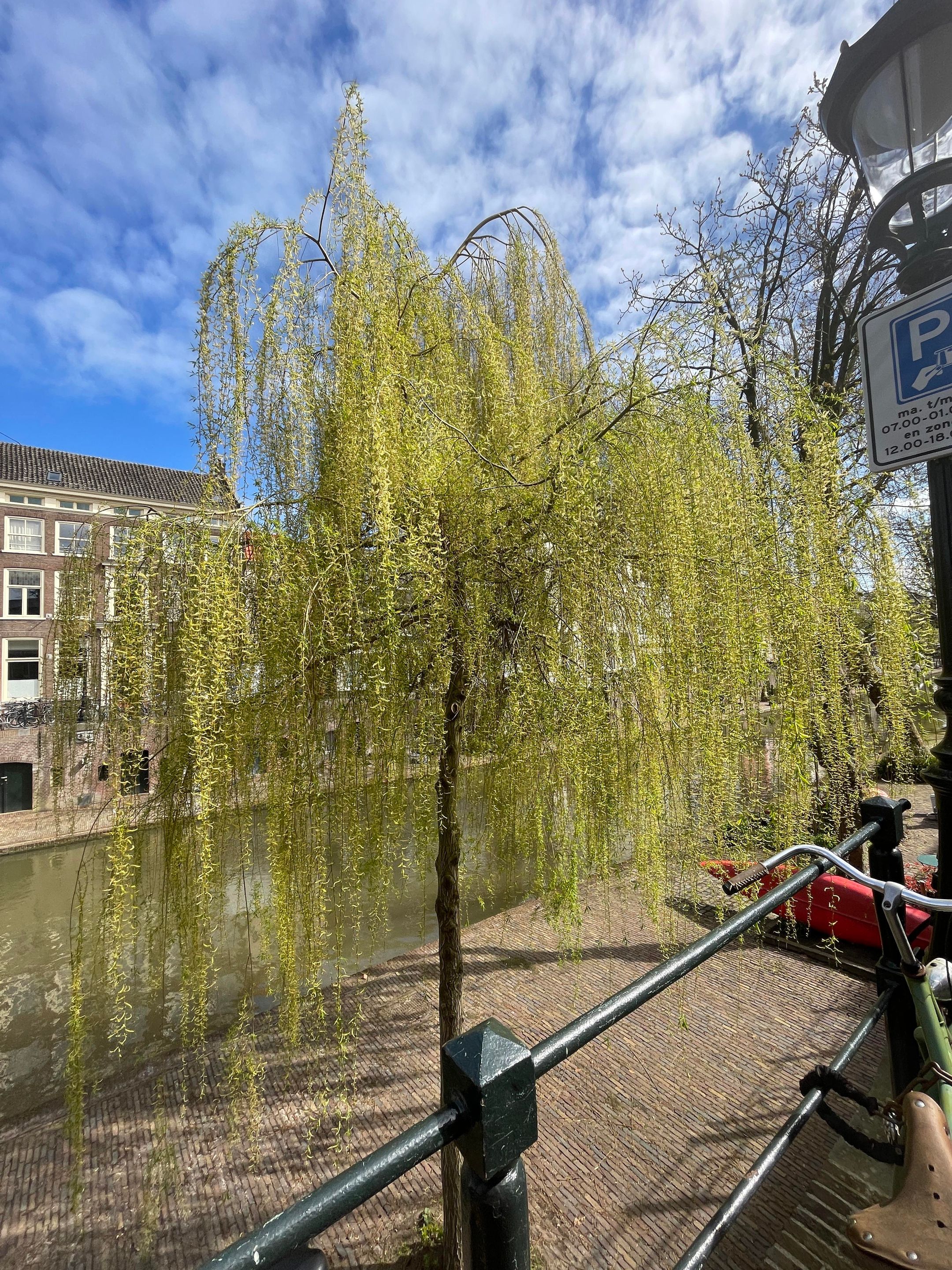 Foto 24 van Oudegracht 285-D