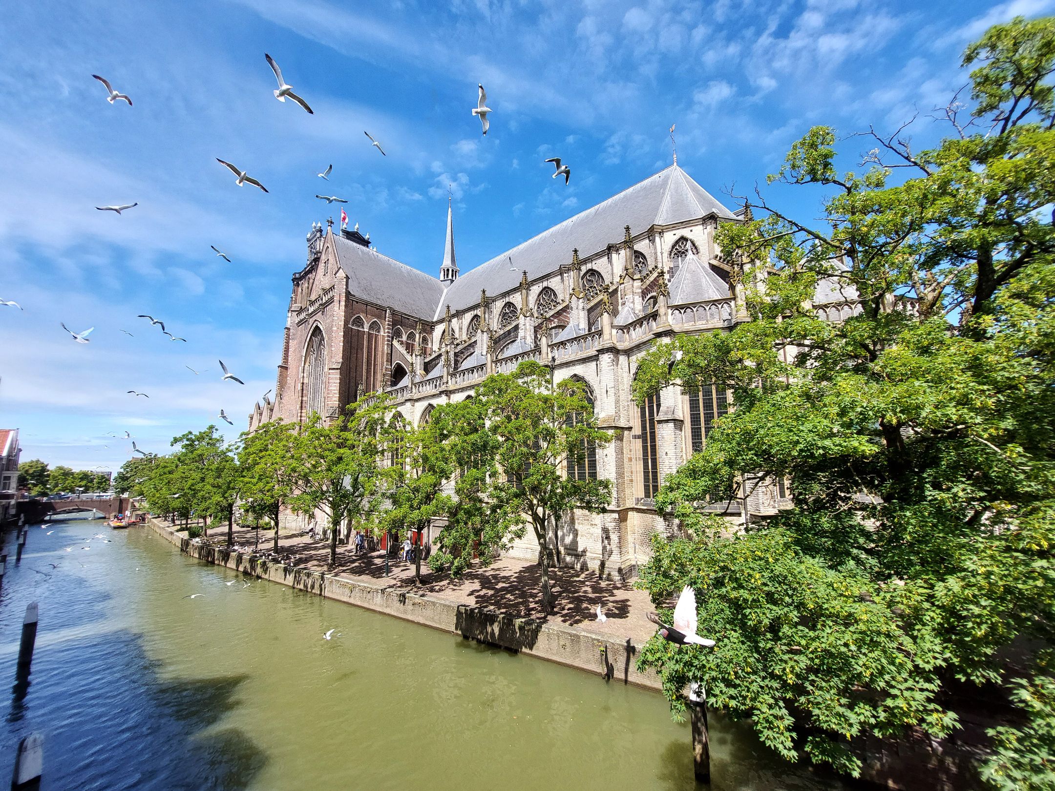 Foto 42 van Voorstraat 439