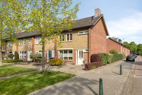 Halewijnstraat thumbnail