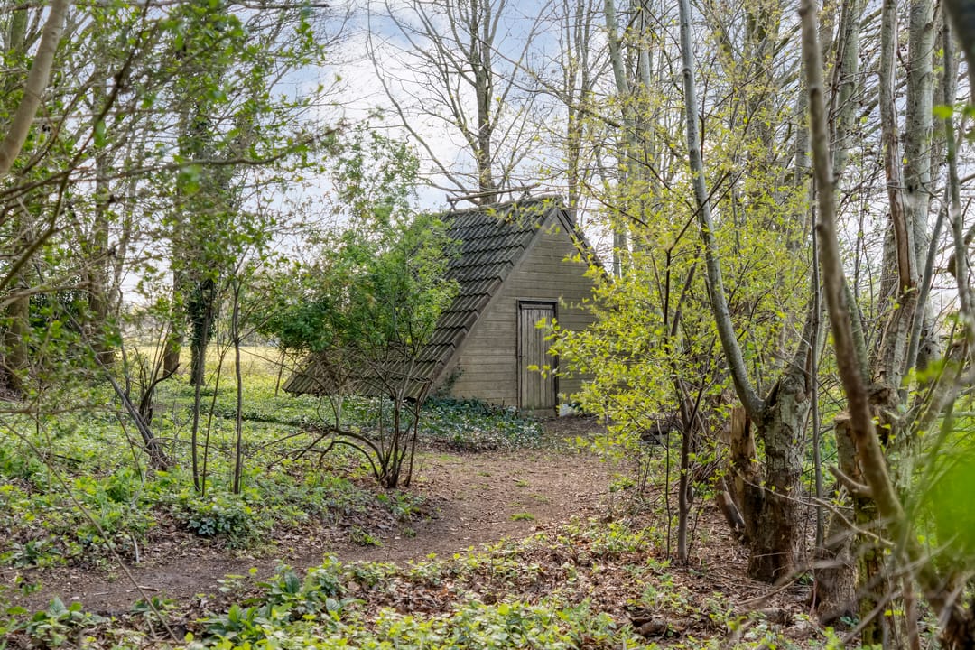 Foto 88 van Burgemeester Tonckensstraat 53