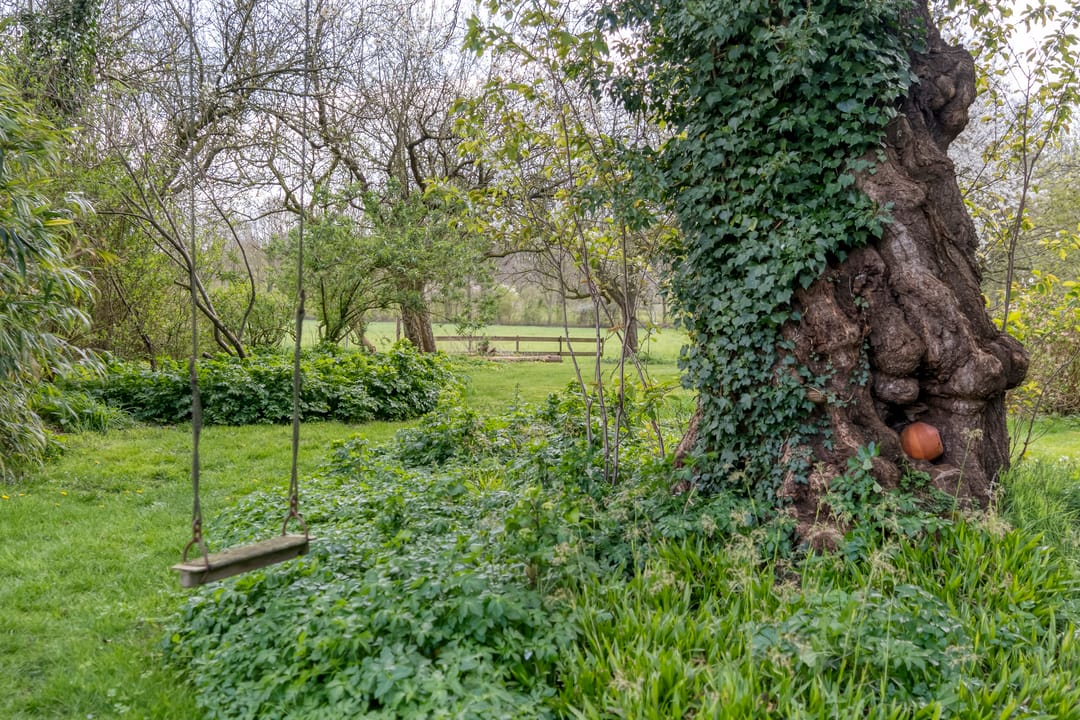 Foto 92 van Burgemeester Tonckensstraat 53