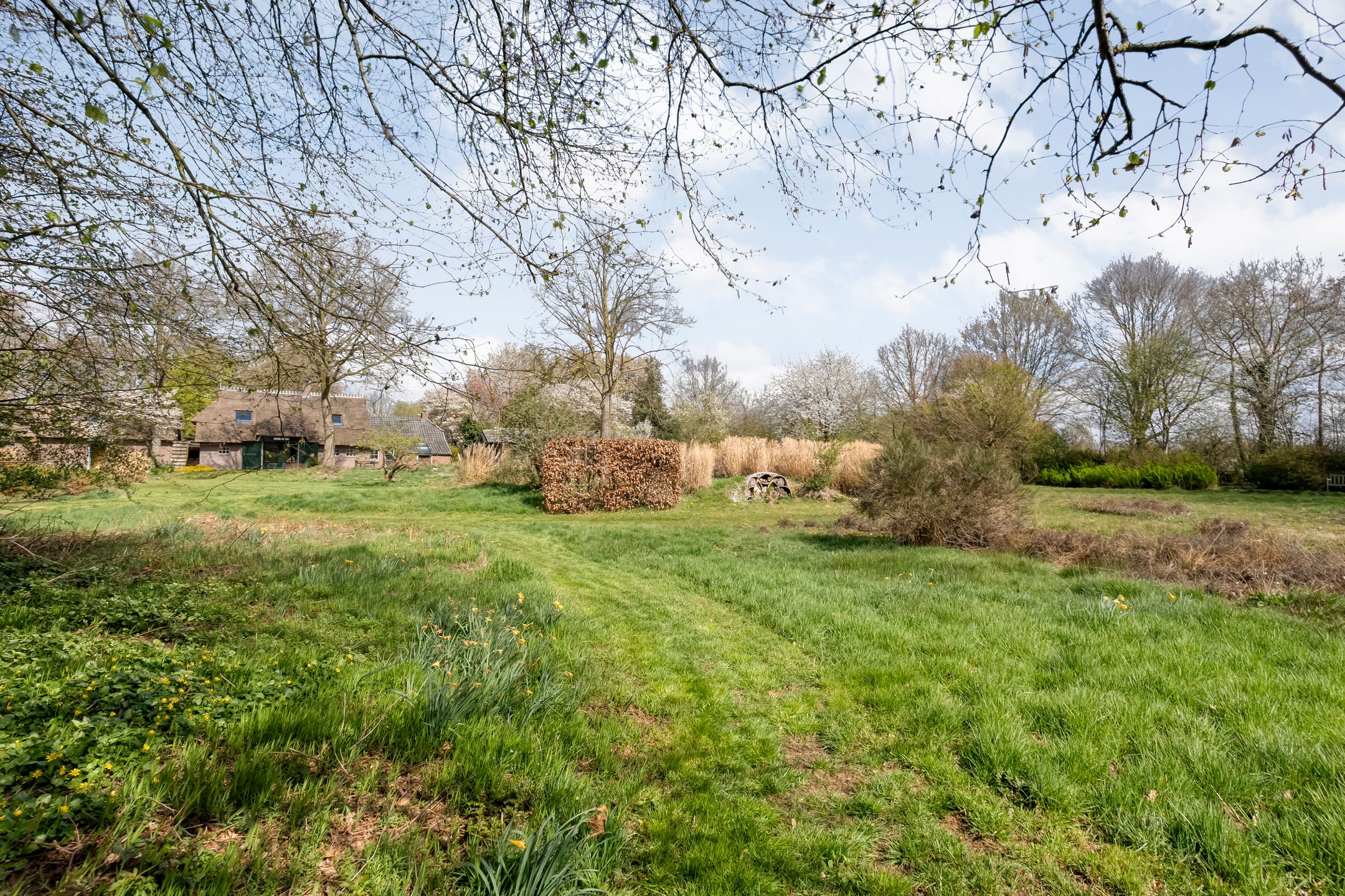 Foto 93 van Burgemeester Tonckensstraat 53