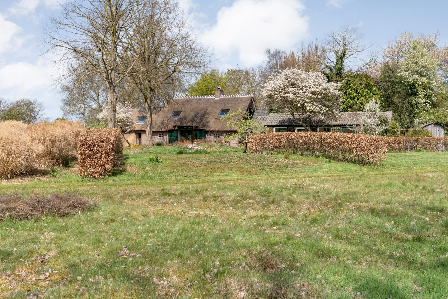 Foto 94 van Burgemeester Tonckensstraat 53