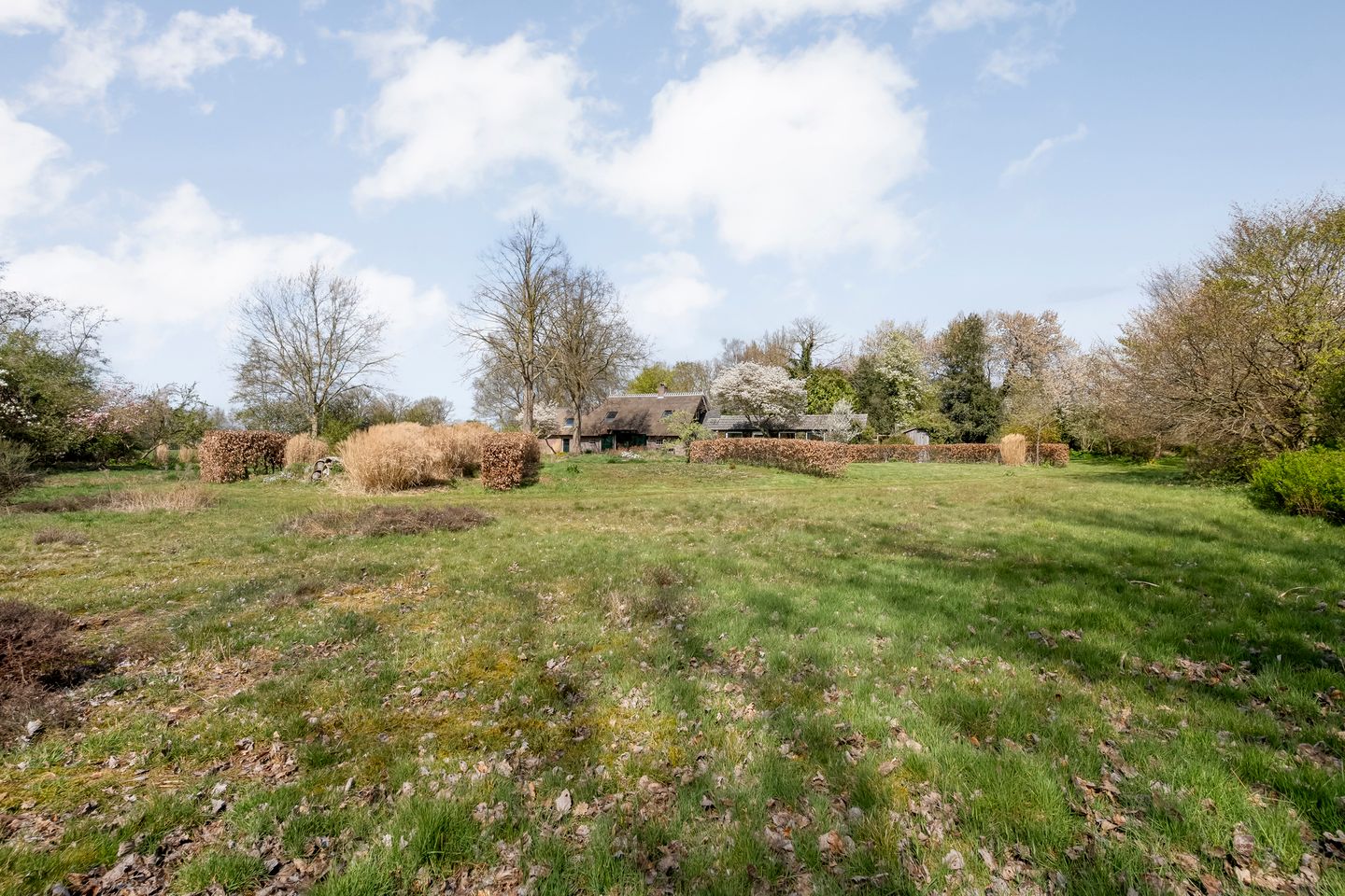 Foto 95 van Burgemeester Tonckensstraat 53