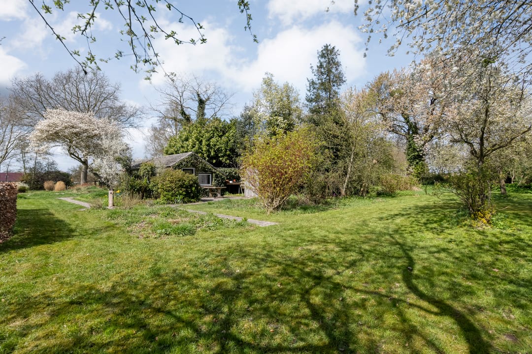 Foto 97 van Burgemeester Tonckensstraat 53