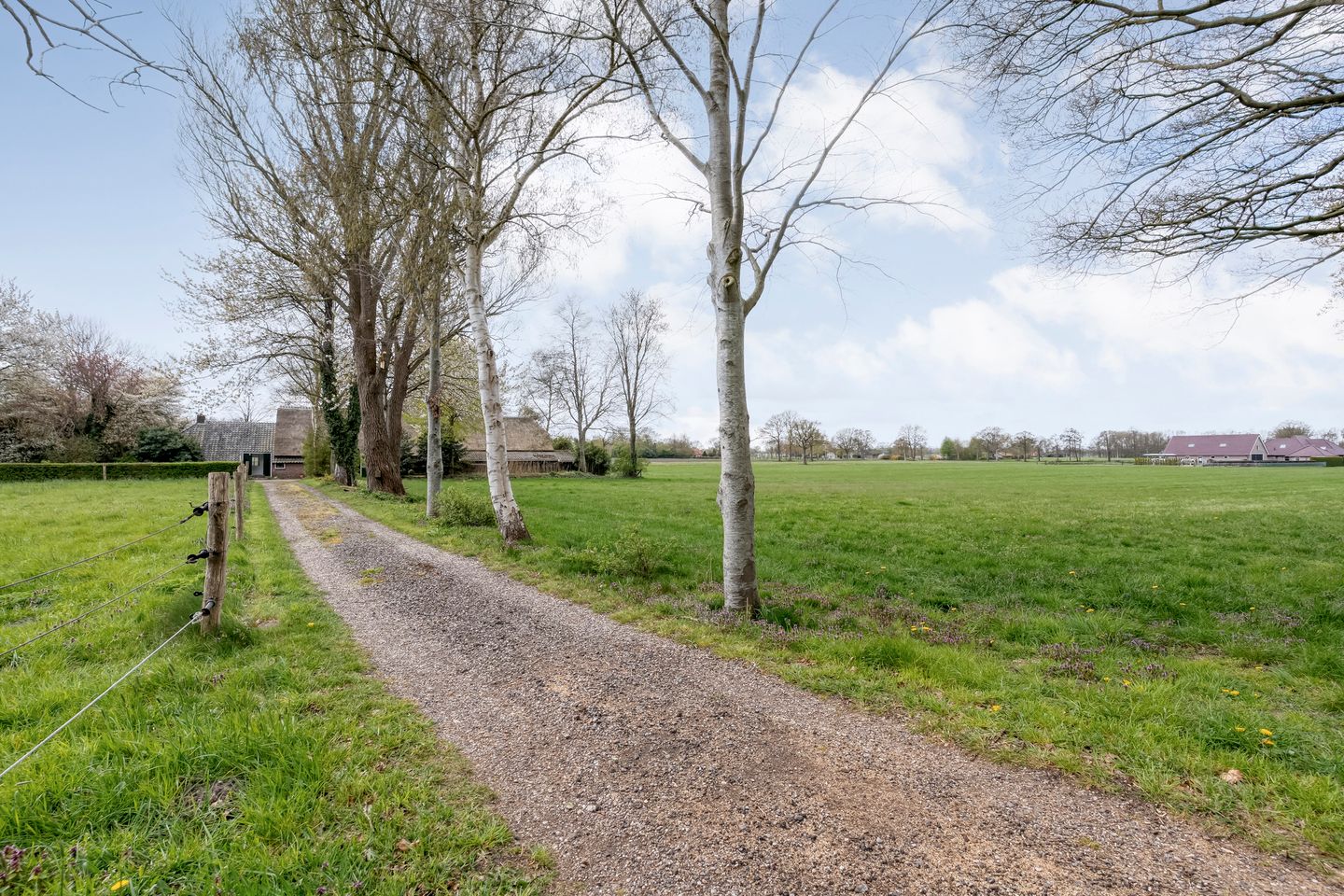 Foto 100 van Burgemeester Tonckensstraat 53