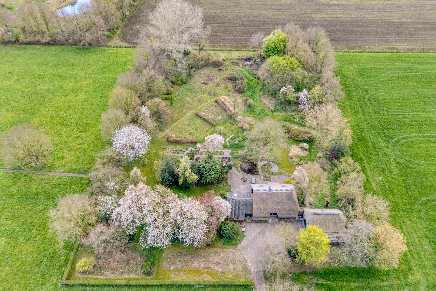 Foto 5 van Burgemeester Tonckensstraat 53