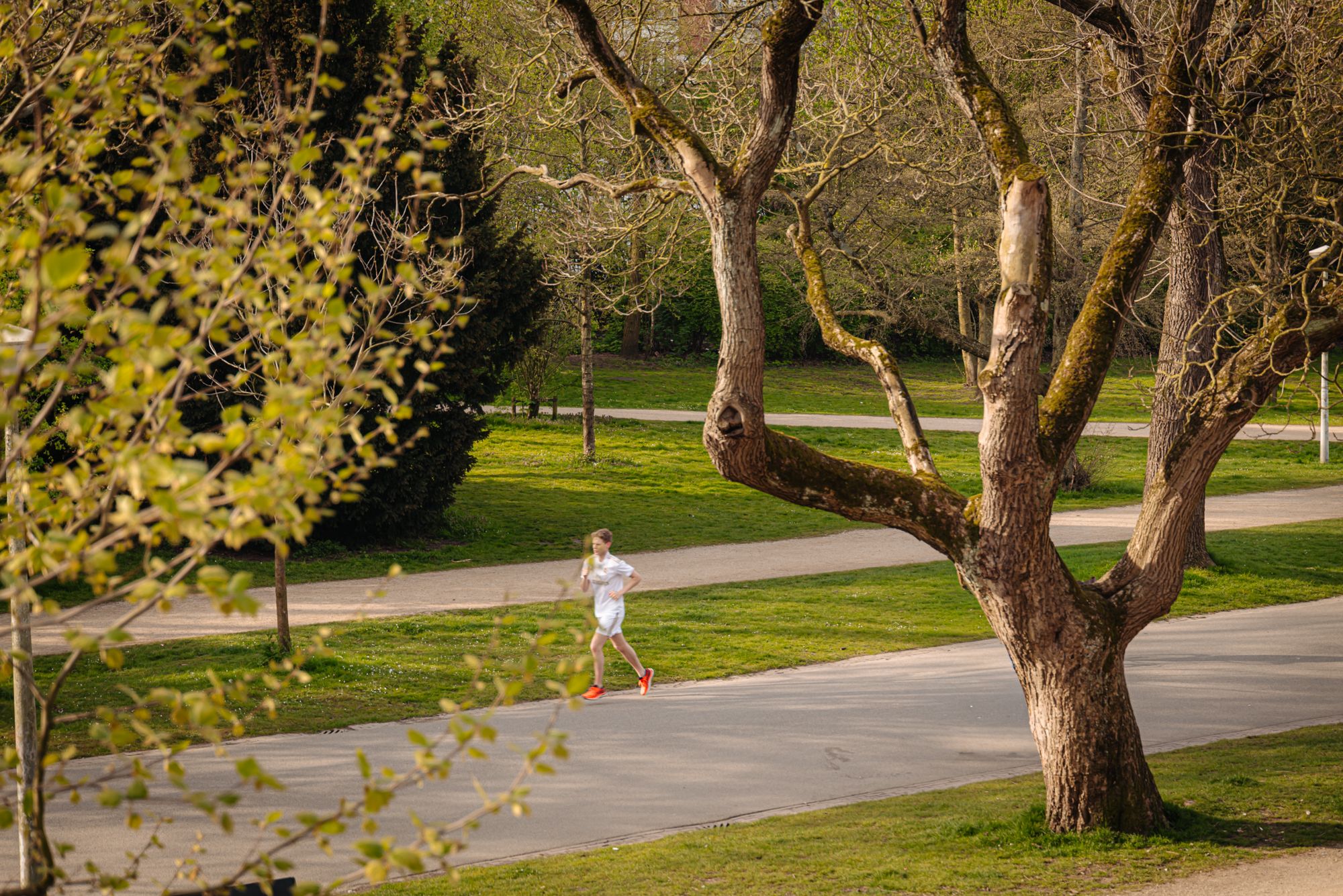 Foto 39 van Vossiusstraat 59