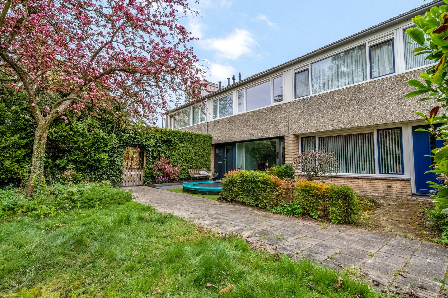 Foto 19 van Boekweitveld 9