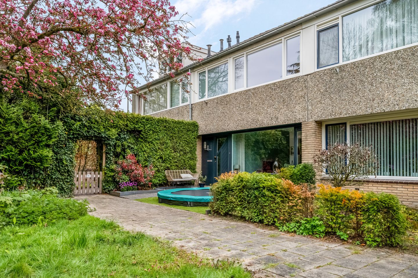 Foto 20 van Boekweitveld 9