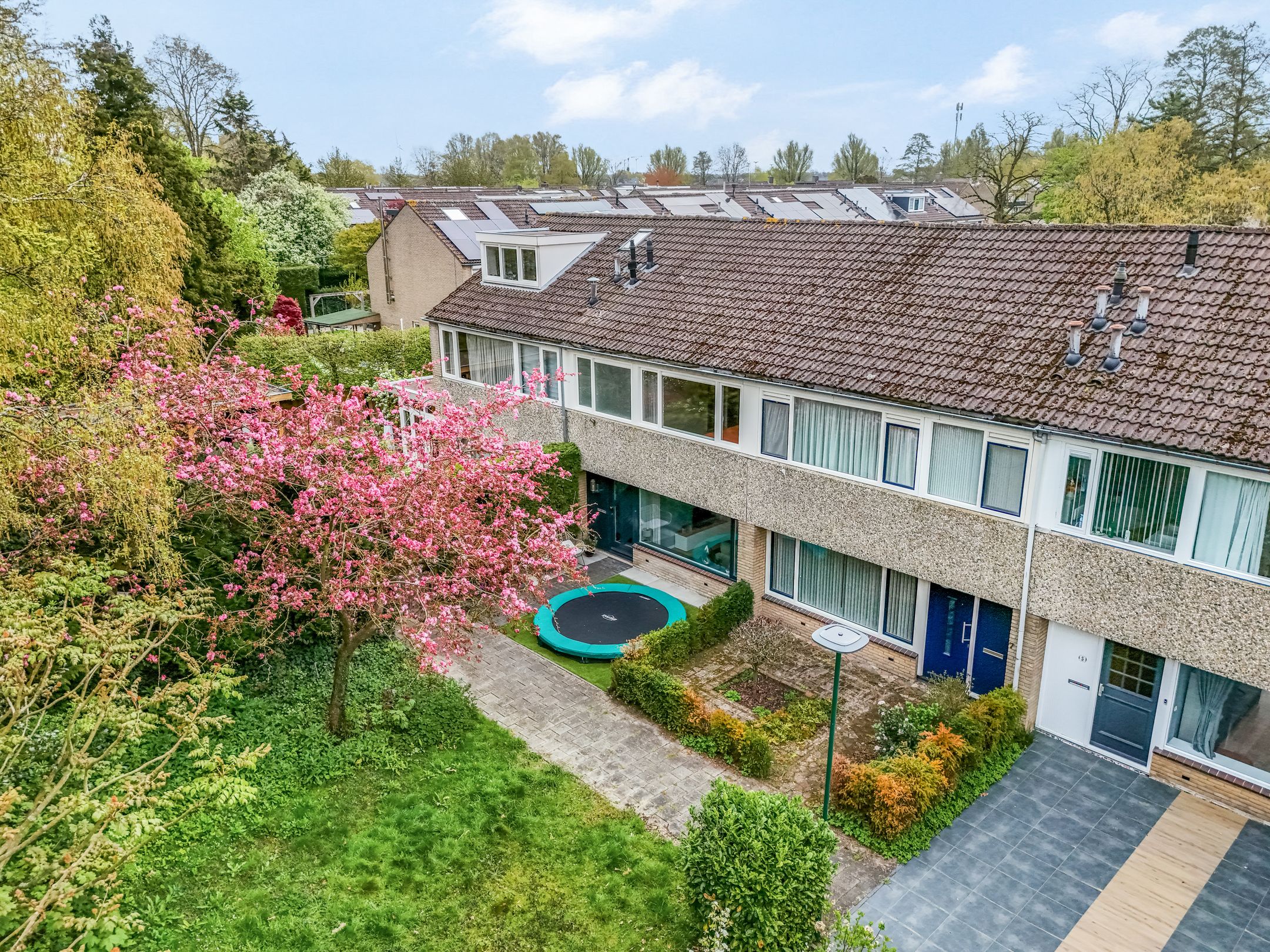 Foto 45 van Boekweitveld 9