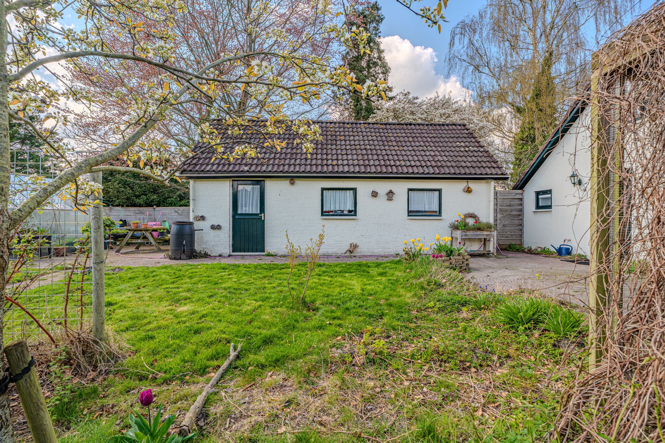 Foto 36 van Pelmolenlaan 1