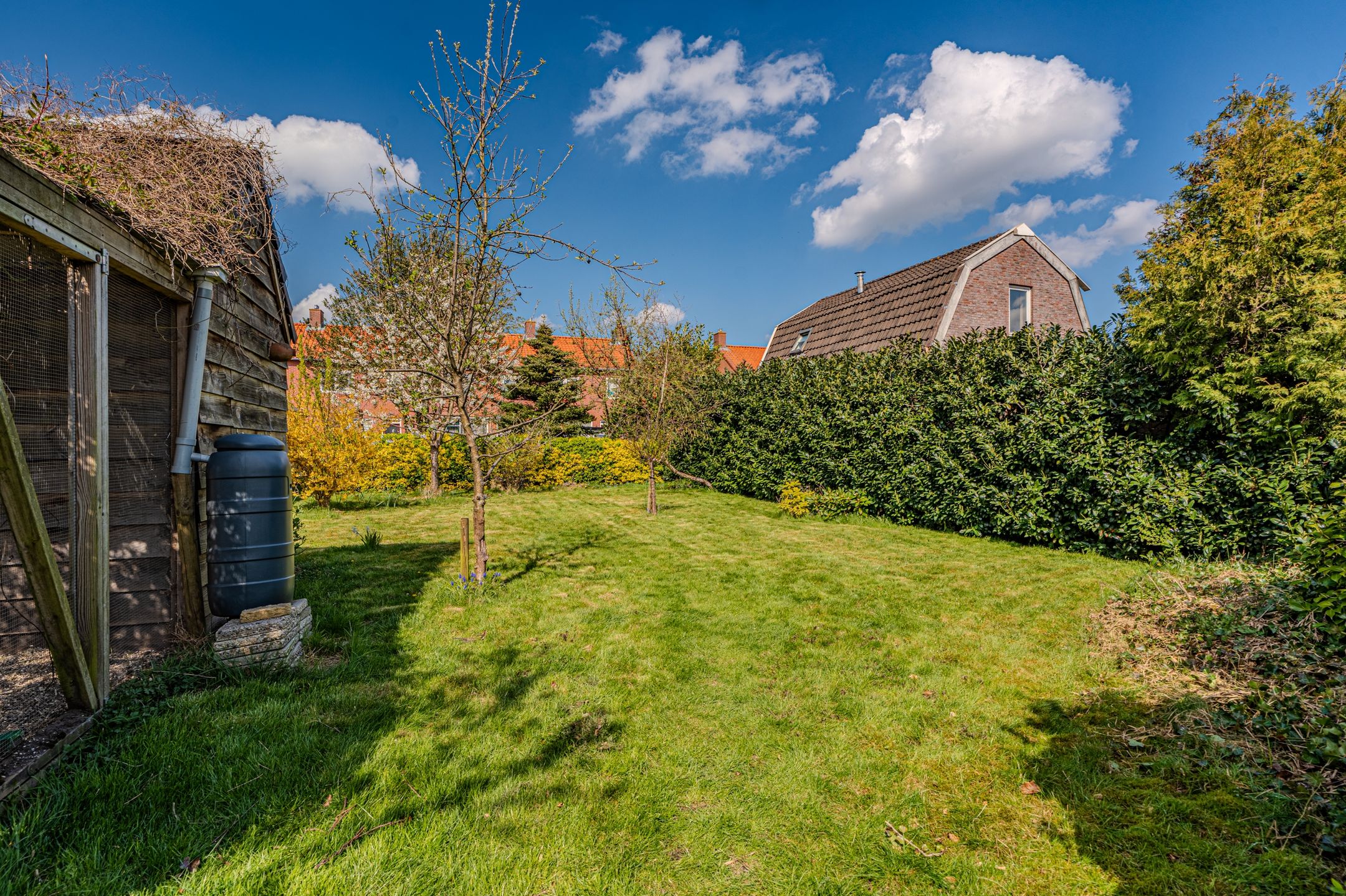 Foto 42 van Pelmolenlaan 1