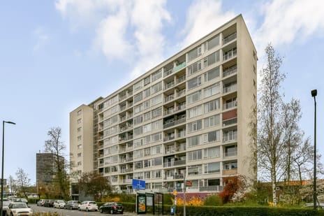 van Hogendorplaan thumbnail