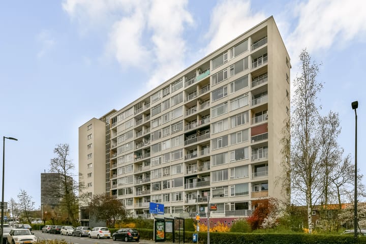 van Hogendorplaan 260