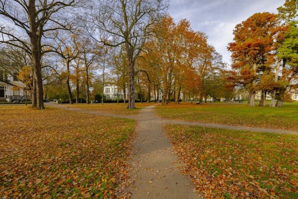Photo 63 of Kenaupark 16