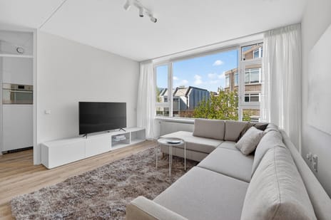 Pieter Nieuwlandstraat thumbnail