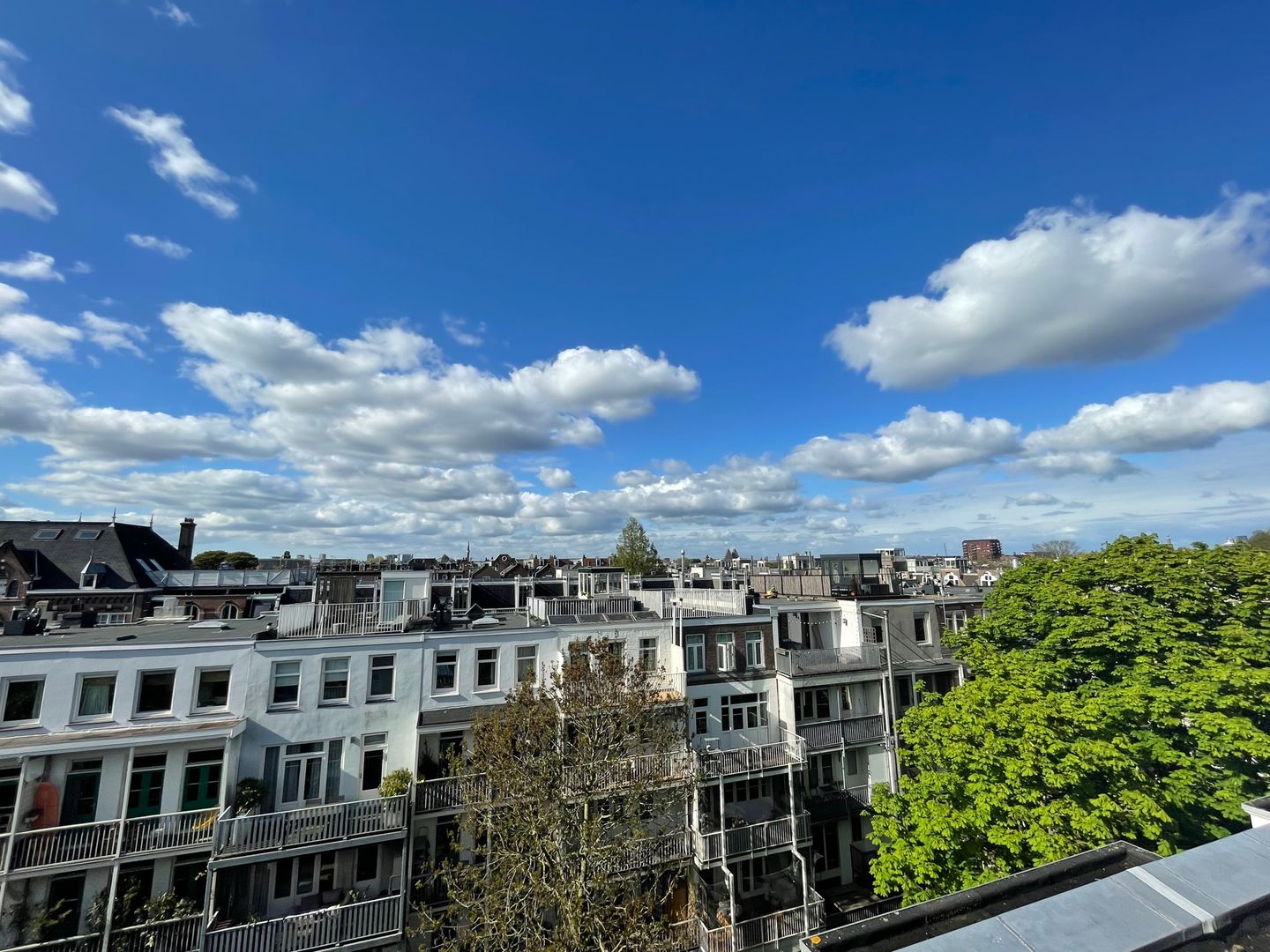 Foto 25 van Wilhelminastraat 92-D