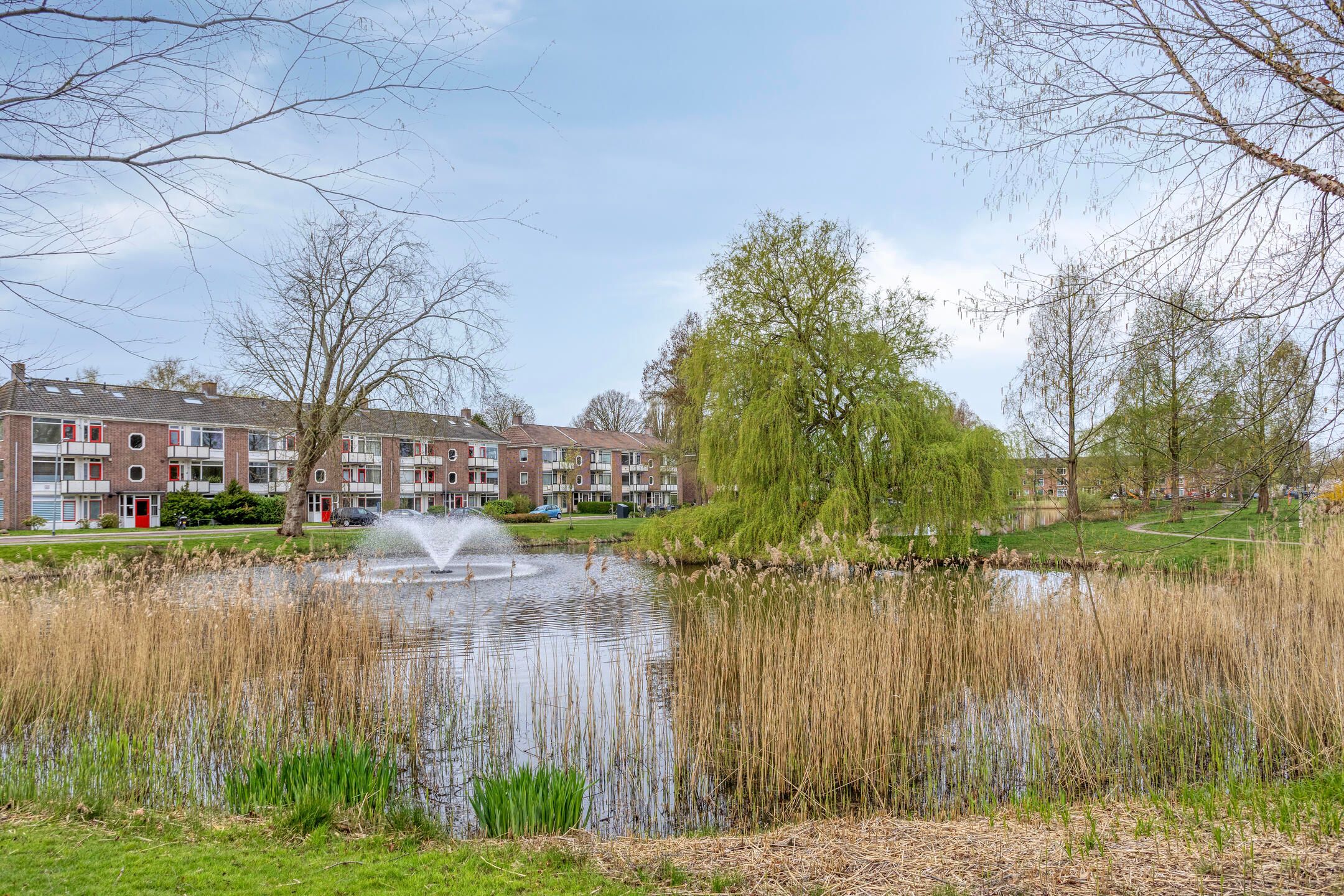 Foto 3 van Mezenlaan 7