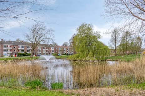 Mezenlaan 7 tertiary image