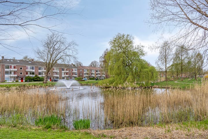 Foto 3 van Mezenlaan 7