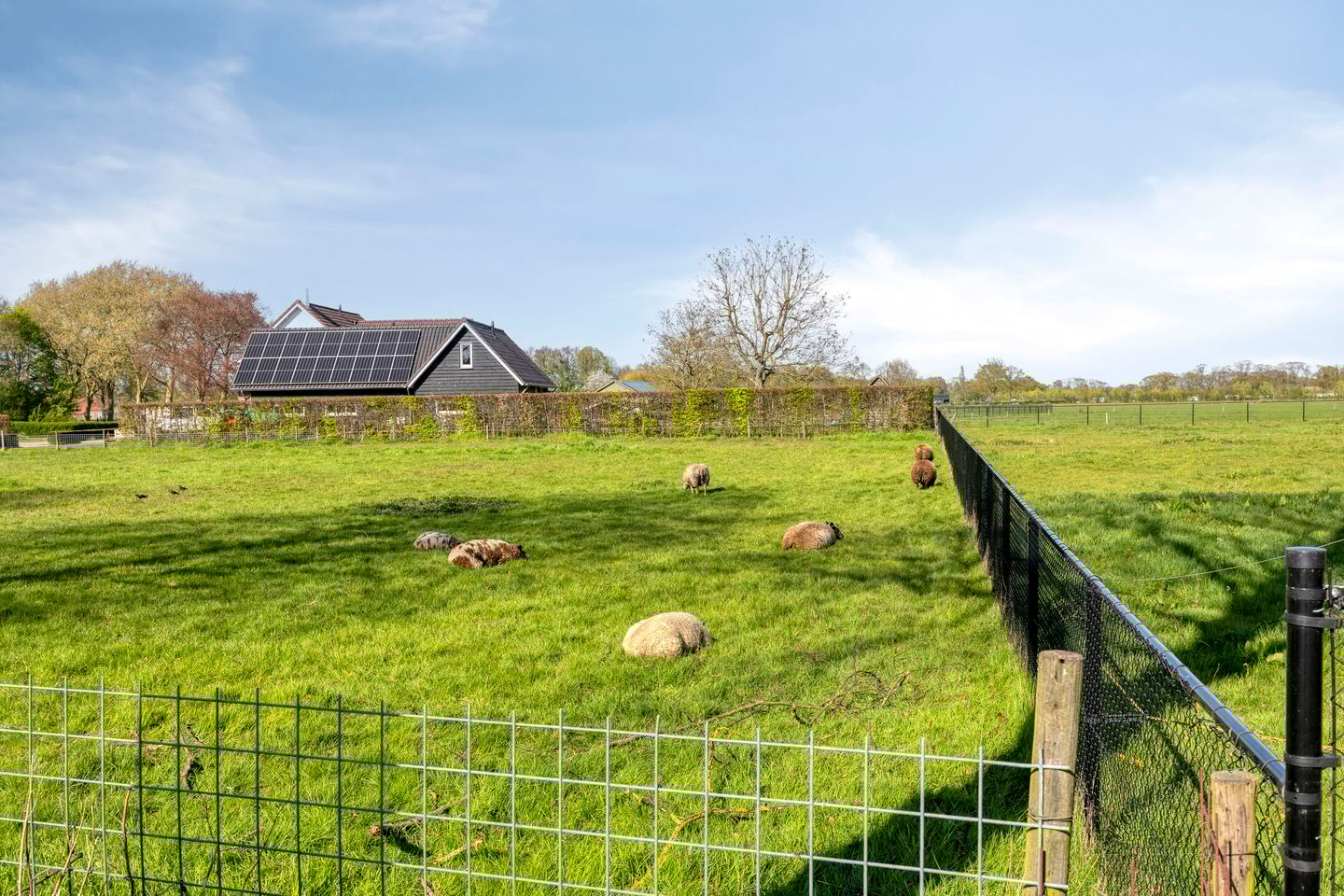 Photo 64 of Molenstraat 23