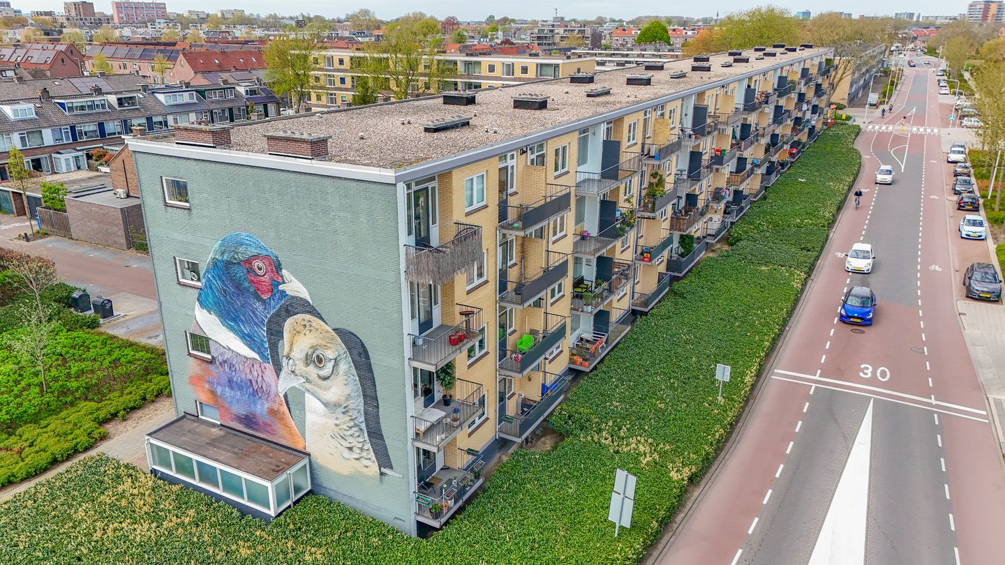 Foto 29 van Fazantstraat 70