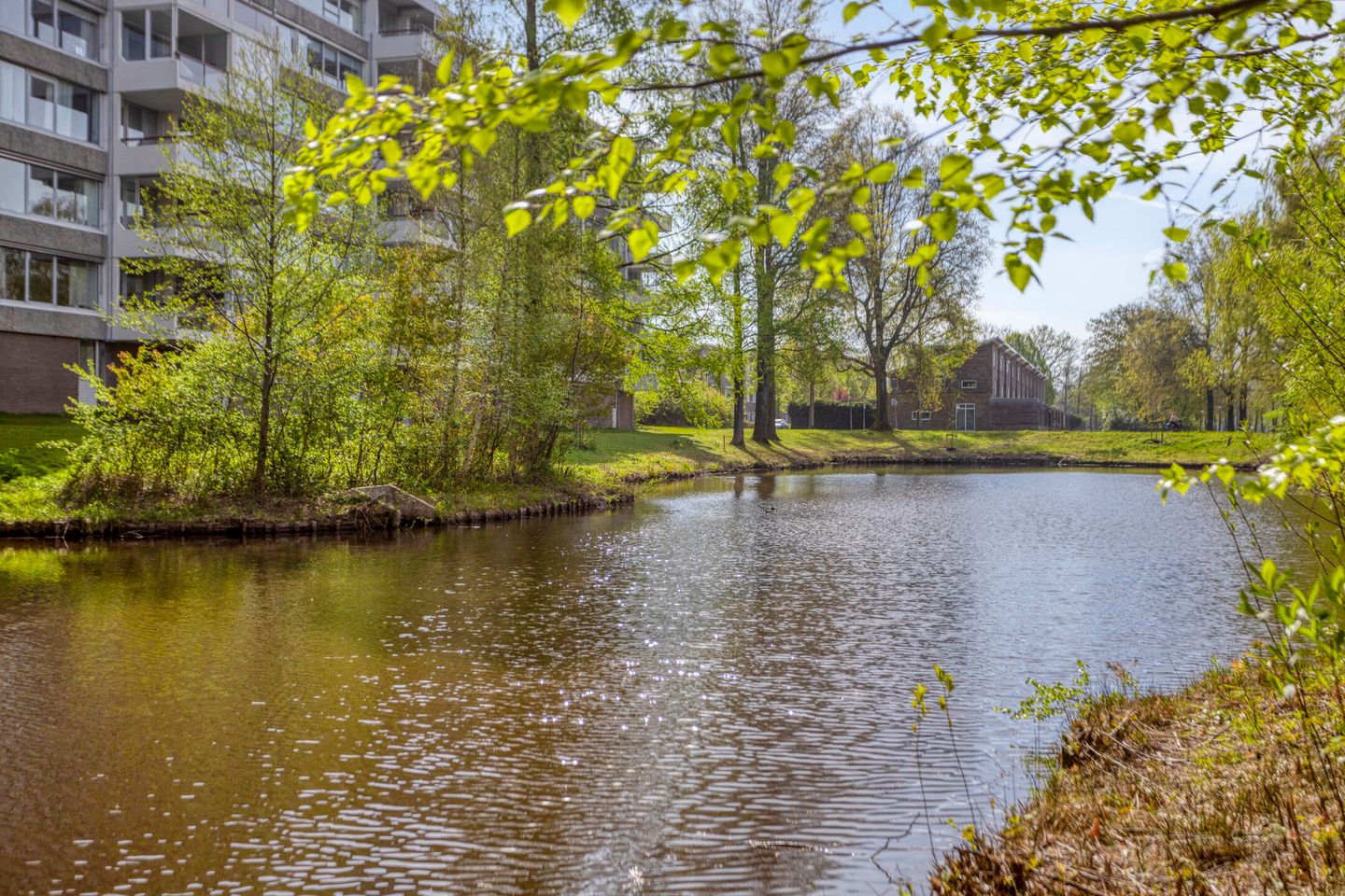 Photo 29 of Veenbesstraat 536