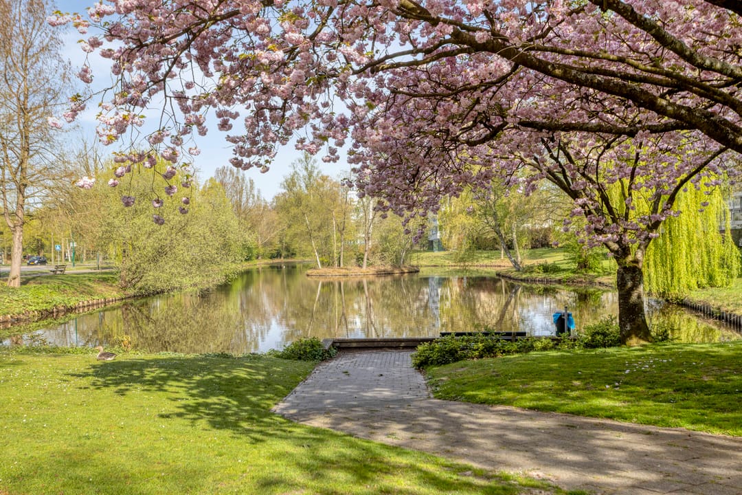 Photo 31 of Veenbesstraat 536