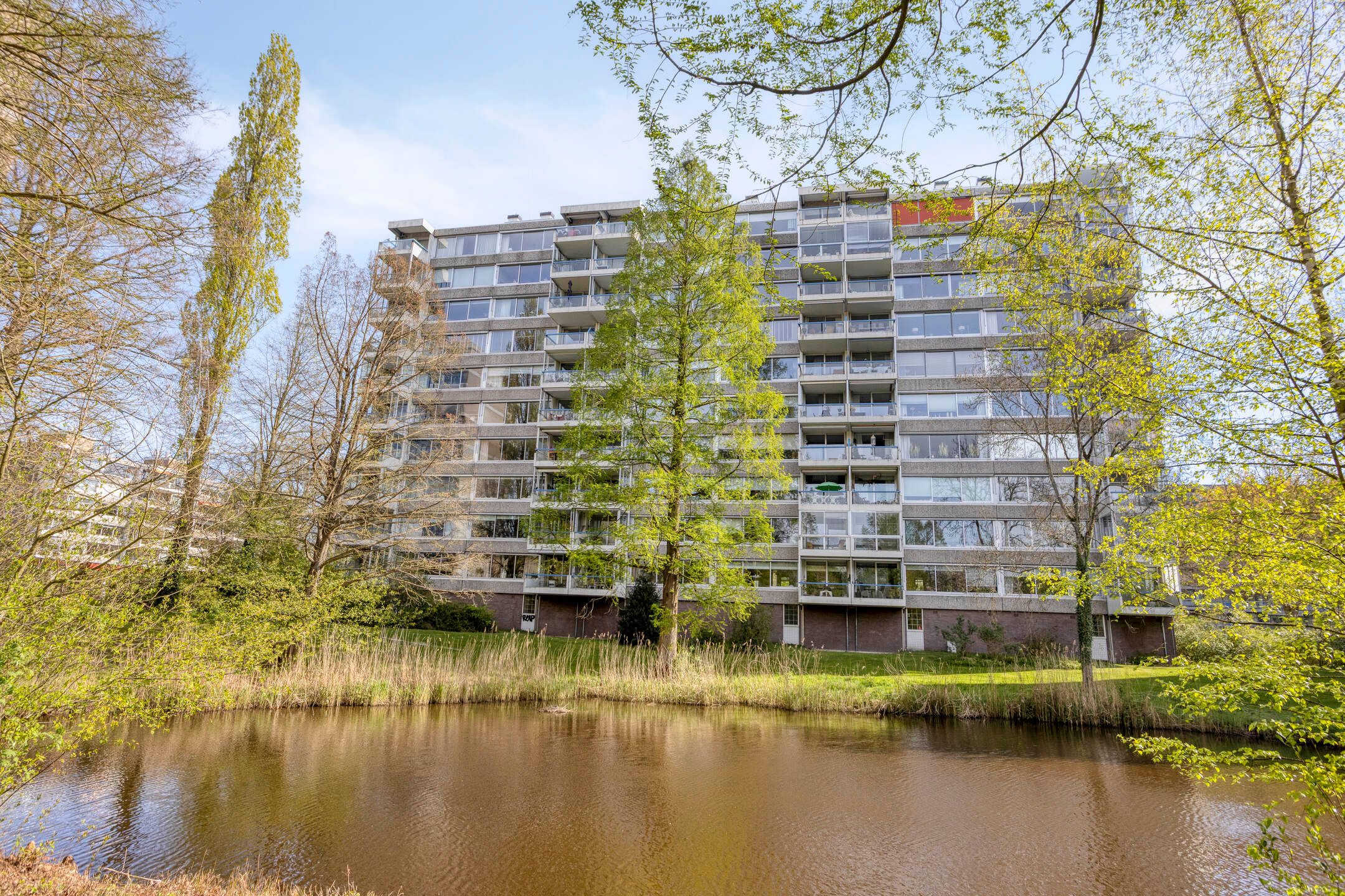 Photo 33 of Veenbesstraat 536