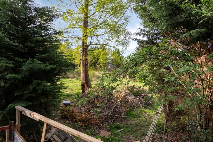 Foto 5 van Essenlaan 24