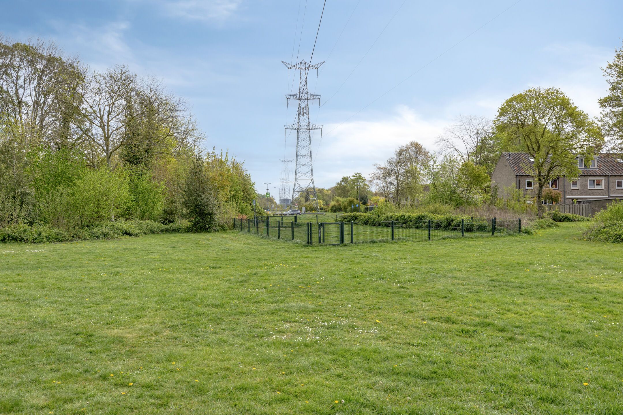 Photo 51 of Orduynenstraat 25