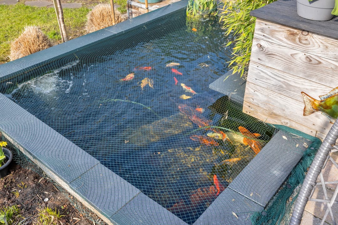 Foto 53 van Oost Ringdijk 17