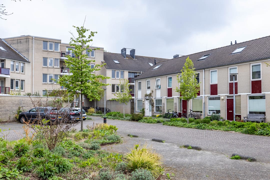 Photo 37 of S.O.J. Palmelaan 140