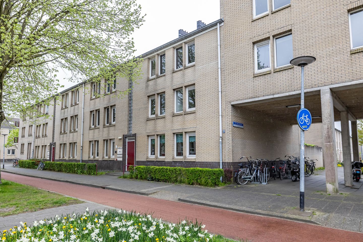 Photo 5 of S.O.J. Palmelaan 140