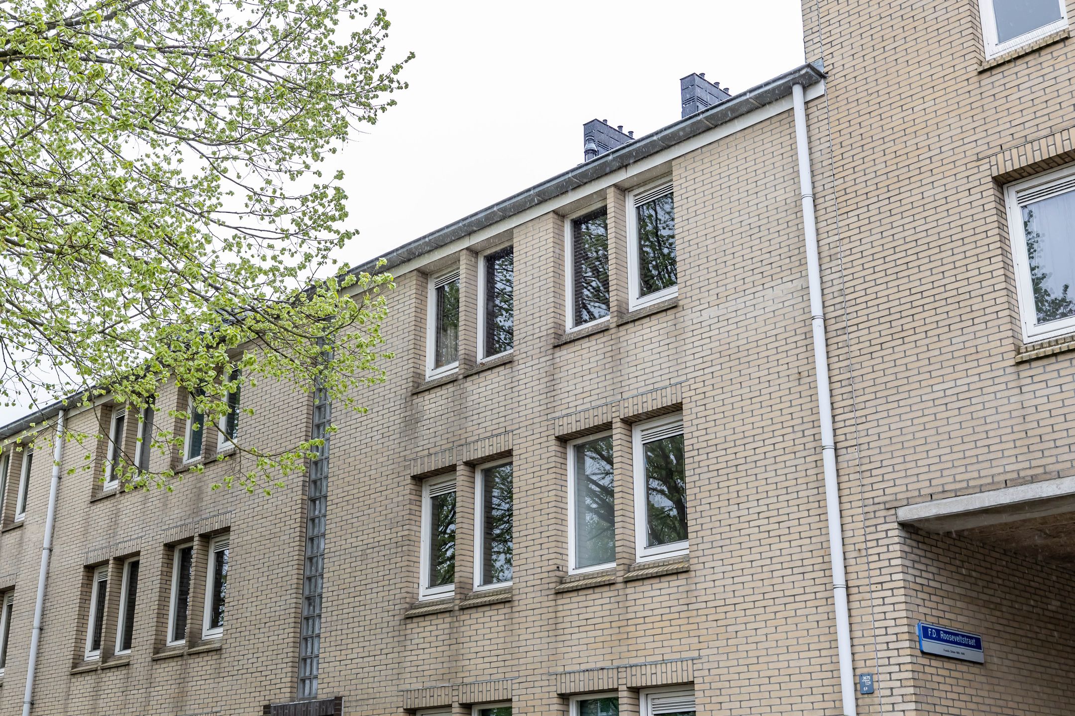 Photo 6 of S.O.J. Palmelaan 140