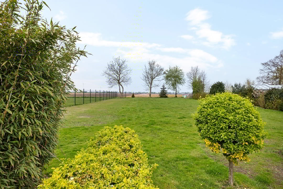 Photo 41 of Zuiderdiep 288